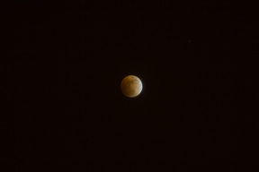 Lunar Eclipse 2008