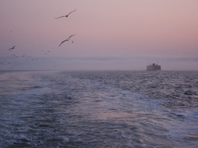 New York Harbor fog