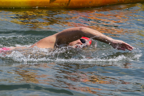 Rose Pitonof Swim 2012